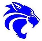 Wildcat Head  